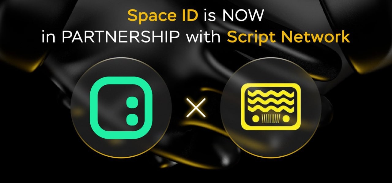 Забираем Free токены в DaoMaker от проекта Script Network — Teletype