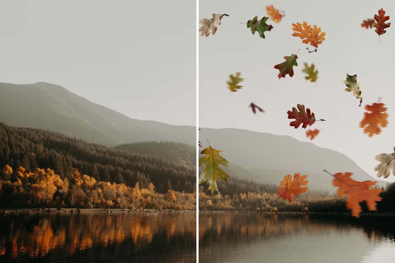 Autumn Leaves Overlays — Teletype