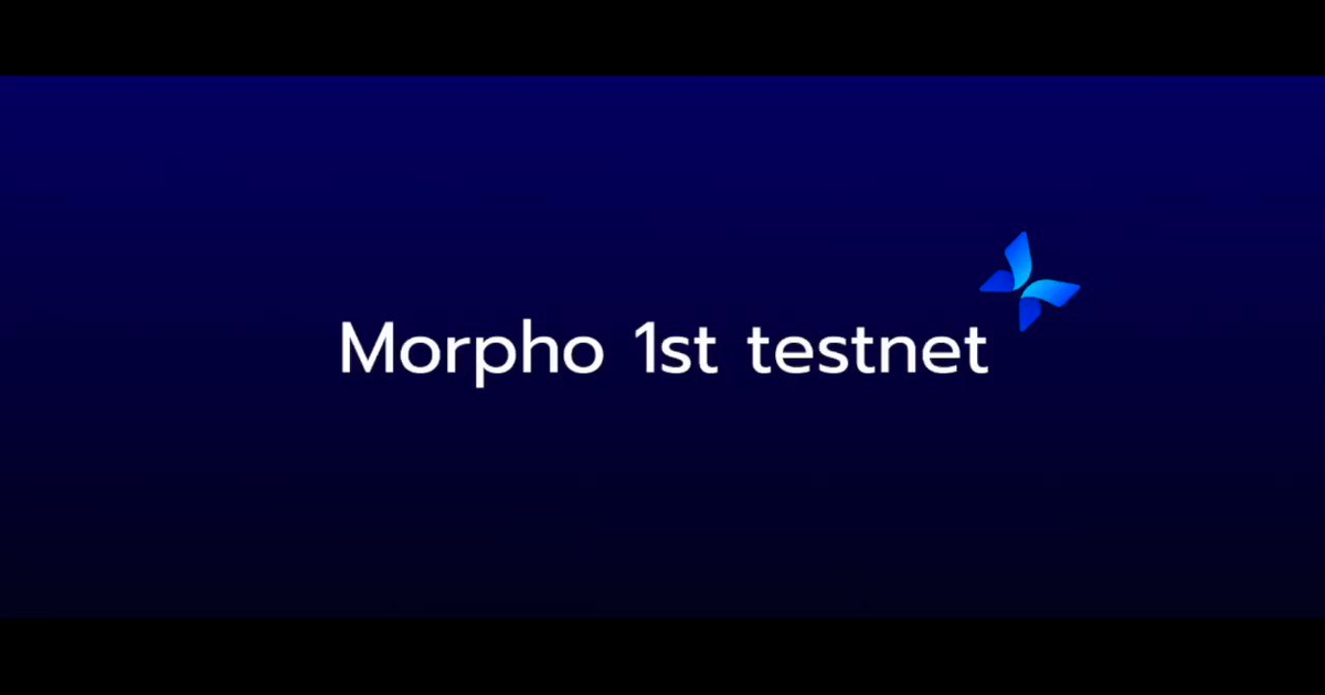 Гайд по тестнету Morph — Teletype