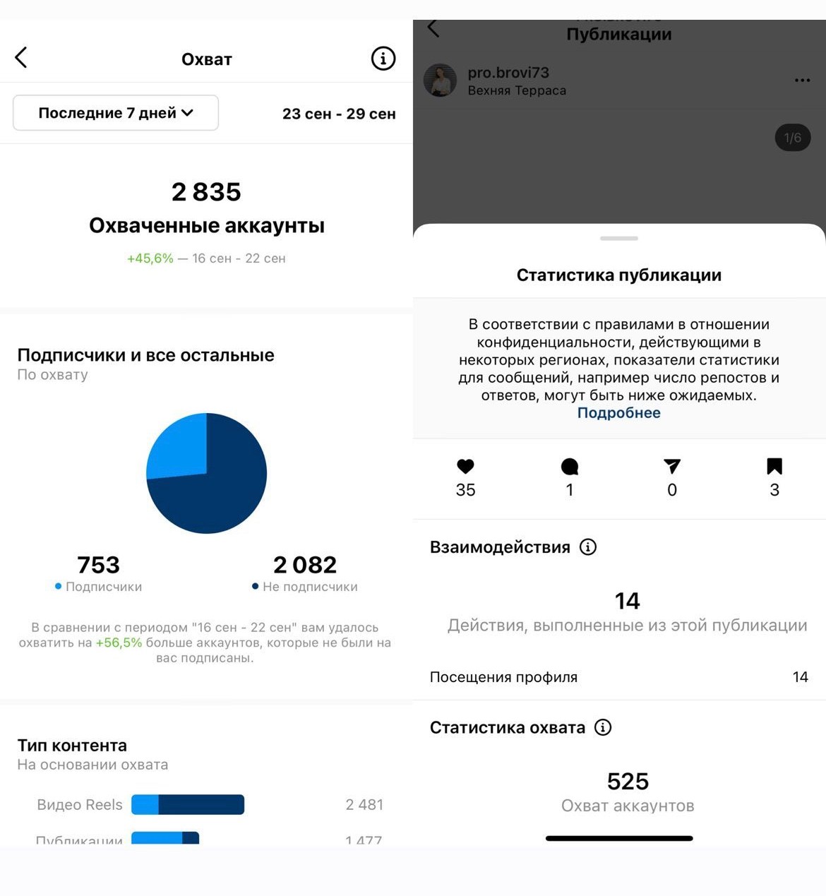 50000 за 3 недели для бровиста только бесплатными методами. — Teletype